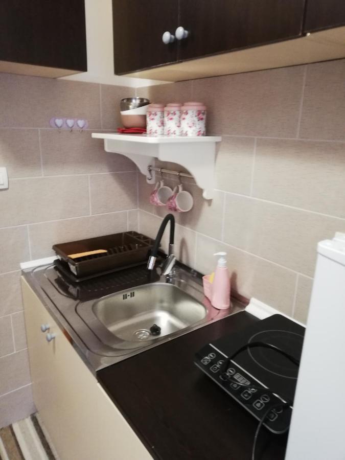 Studio Apartman Small Lili Popovaca Extérieur photo